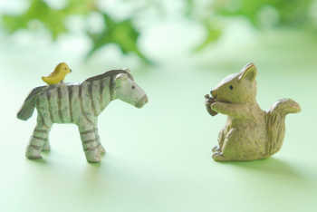 シマウマとリスが向き合う